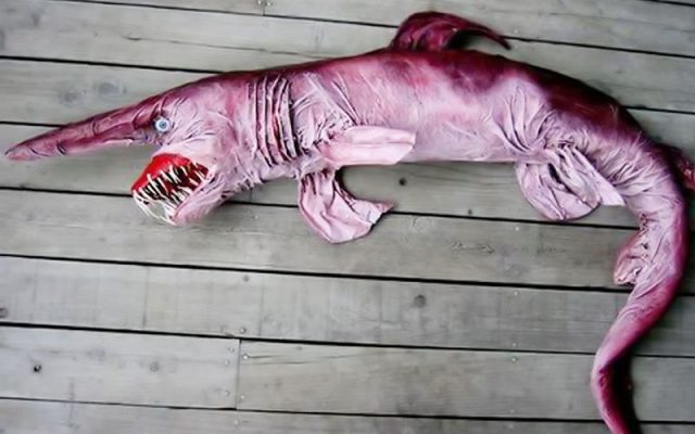 Gambar Ikan Di Lautan Dalam Goblin Shark