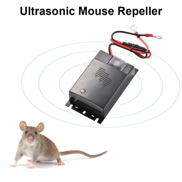 Gambar Cara Mengusir Tikus Dengan Cuka Dan Alat Pengusir Tikus Canggih Dengan Suara Ultrasonik