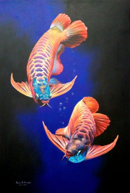 Gambar Ikan Arwana - Dikedalaman sungai biru