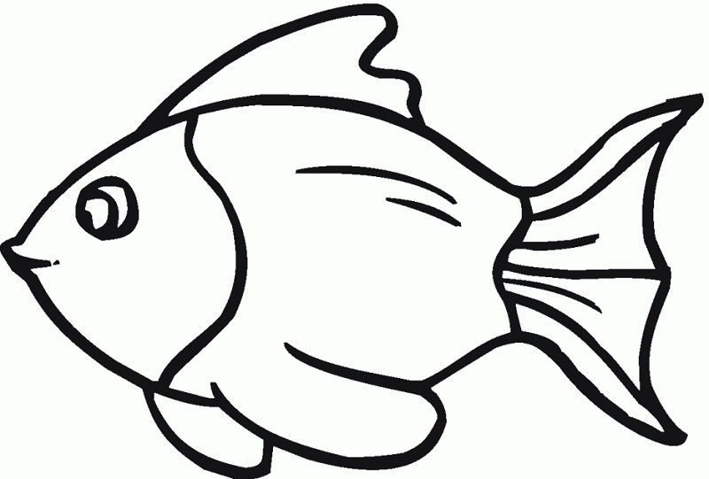 Gambar Kartun Ikan-Ikan Yang Ingin Kamu Lihat | Nama-Nama Hewan