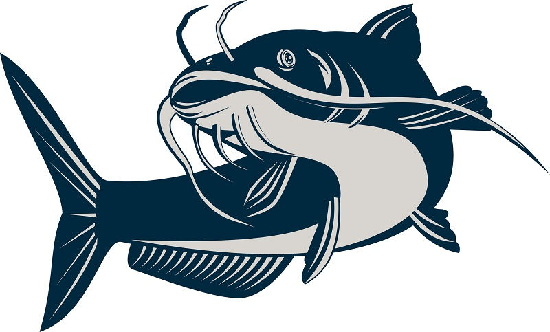  Gambar  Kartun  Ikan Ikan Yang Ingin Kamu Lihat Nama Nama 