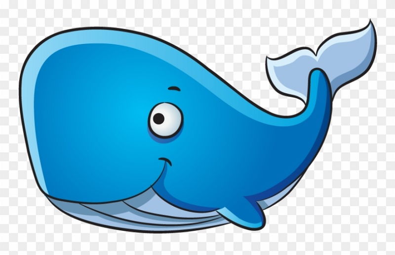 gambar kartun ikan paus