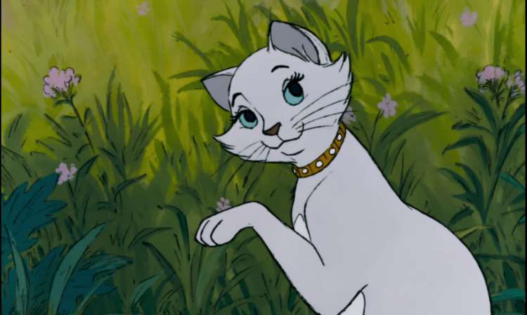Duchess (The Aristocats) kartun kucing