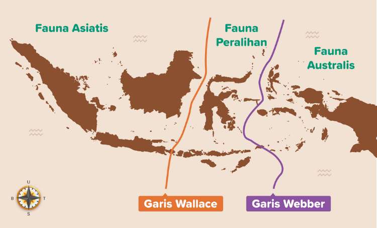 Keragaman Flora di Indonesia Flora dan Fauna di Indonesia
